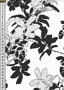 34 Bokura