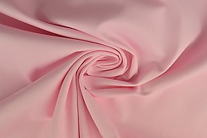 102 rose